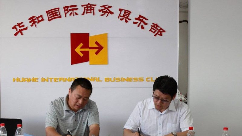 小标题：战略咨询的必要性