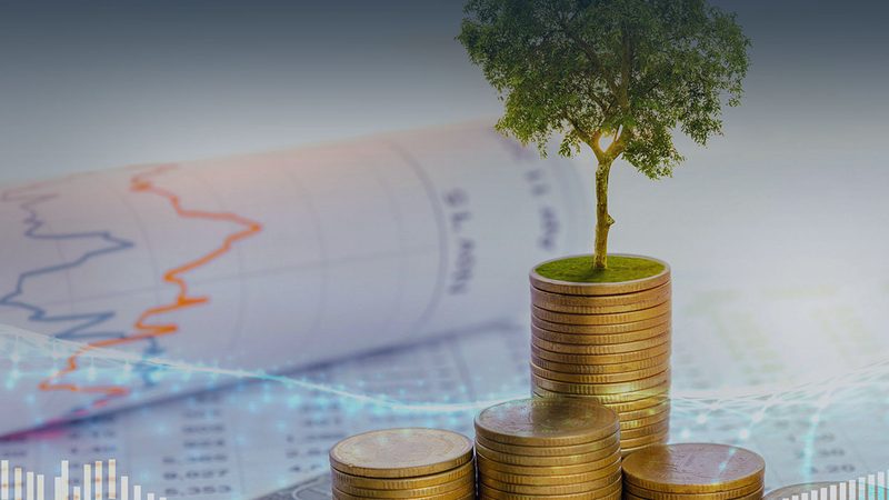 广州管理咨询代理服务：行业标准下的专业选择