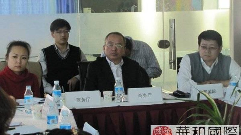 早期项目融资咨询多少钱